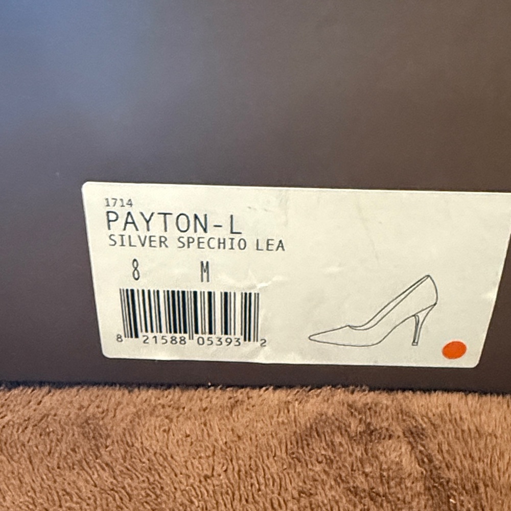 Paolo Metallic Silver Pointed-Toe Stiletto Pumps - Picture 3 of 7